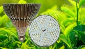 植物灯_led树灯_植物生长灯